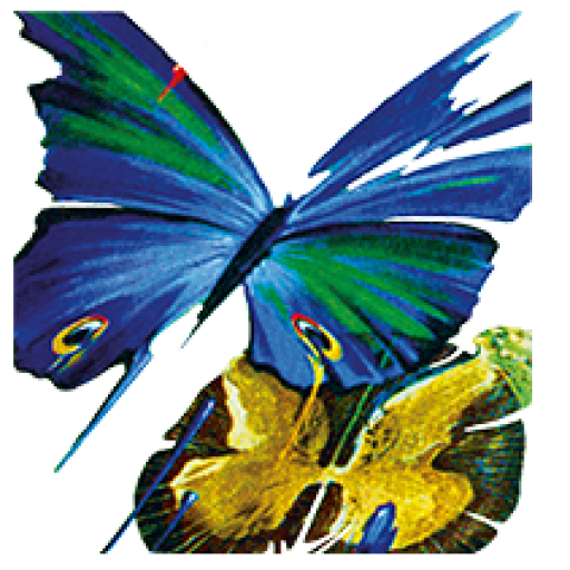 Logo Logo-Schmetterling